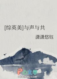 综英美与声与共免费