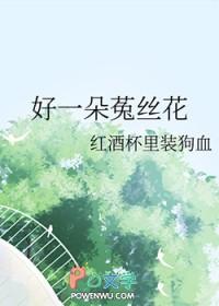 什么是菟丝花
