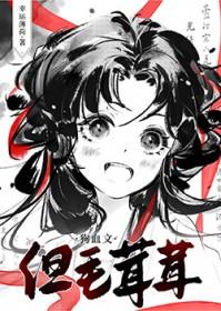 我是猫视频讲解