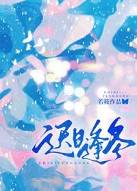 迟日逢冬免费阅读