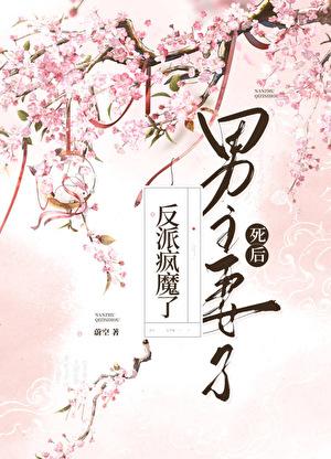 男主妻子死后反派疯魔了